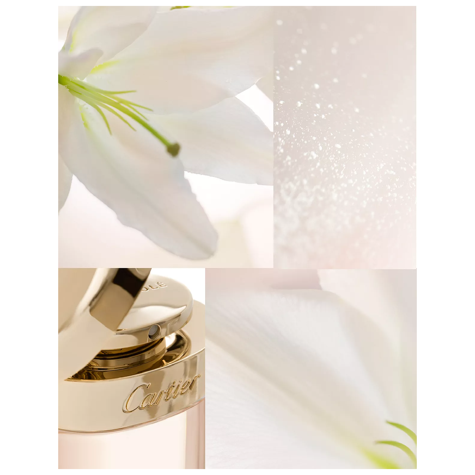 Cartier Baiser Vole Eau de Parfum for Women