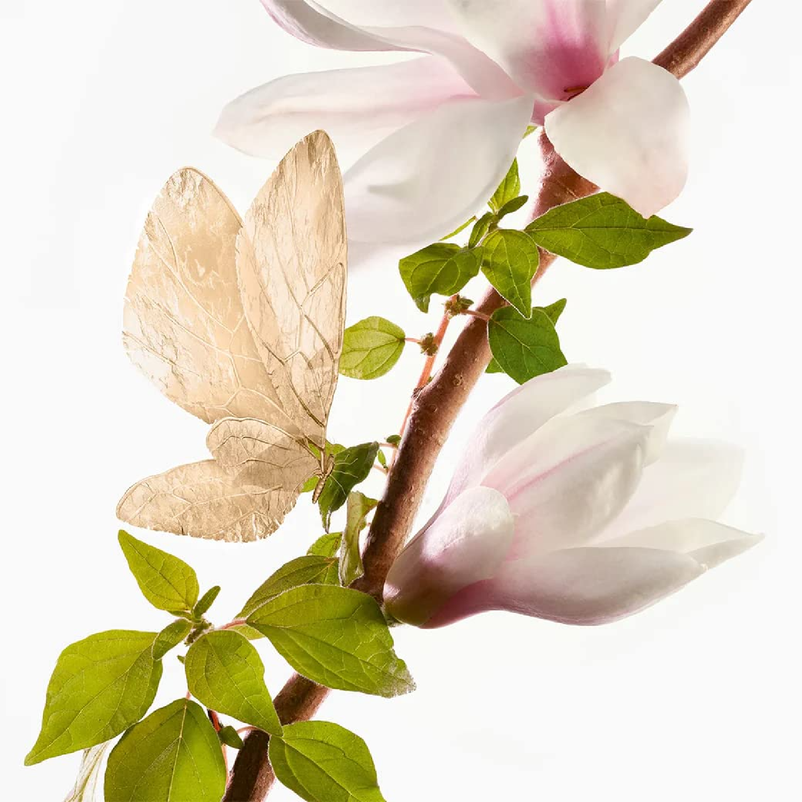 Goutal Un Matin D'orage Eau de Toilette for Women