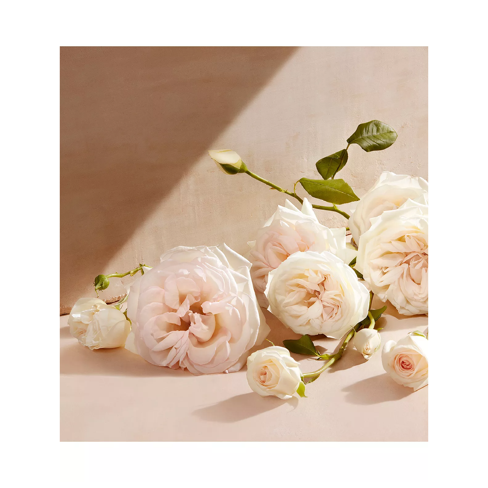 Chloe Eau de Parfum for Women