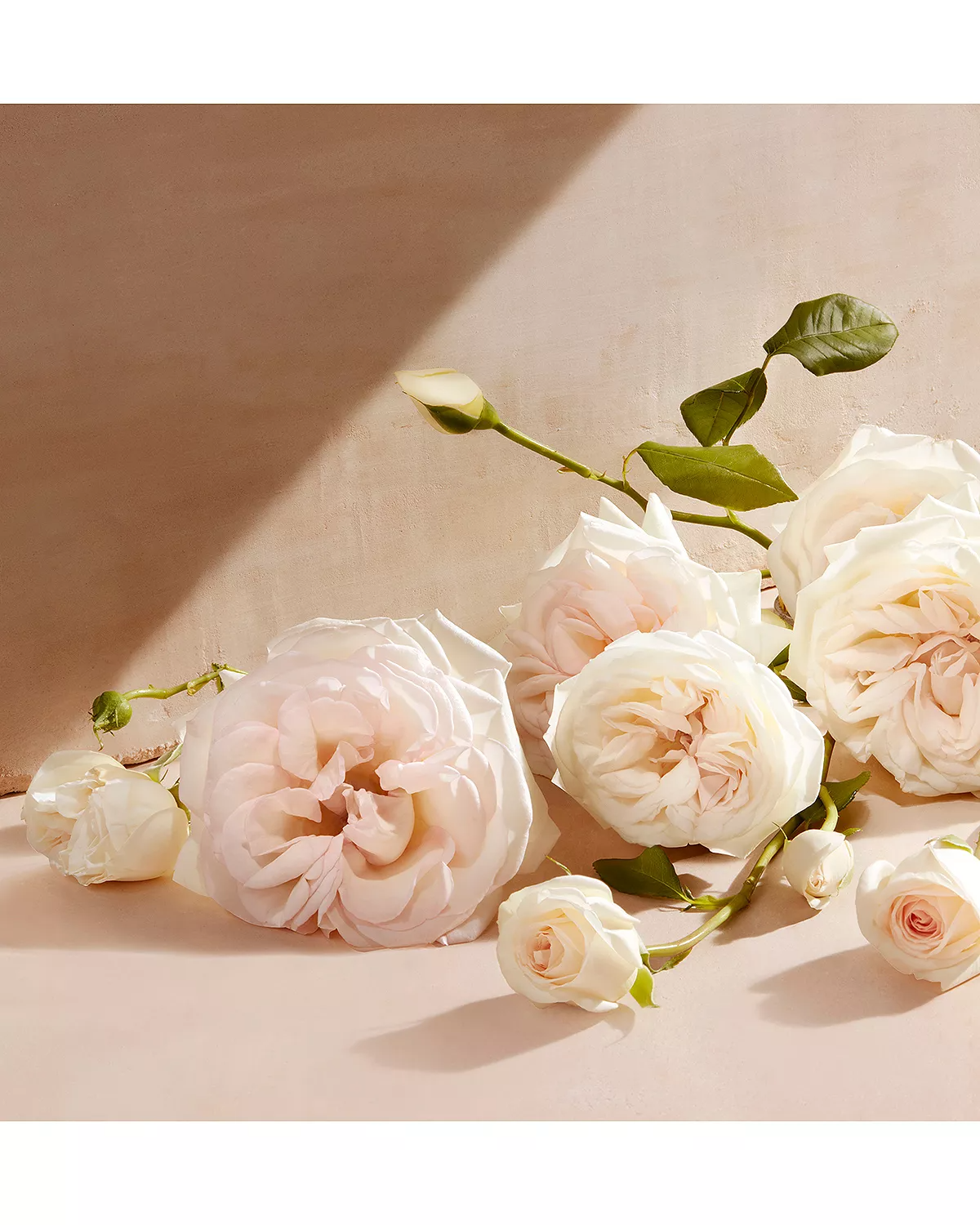 Chloe Eau de Parfum for Women